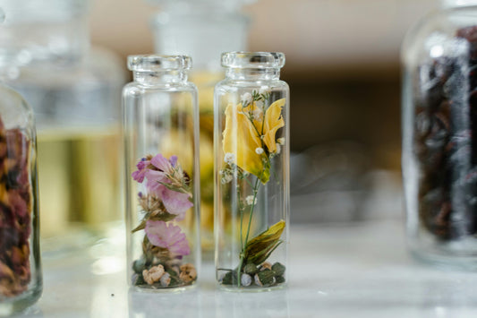 Bachblüten: Die sanfte Kraft der Natur: Geschichte, Wirkung und Anwendung