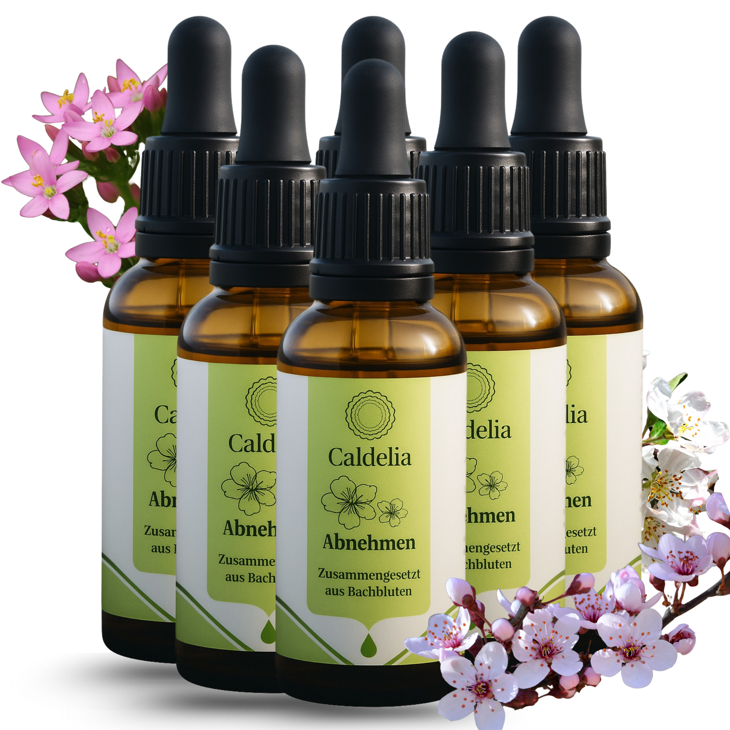 Set aus 6 Bachblütenfläschchen für natürliche Gewichtsreduktion mit unterstützenden Pflanzenessenzen