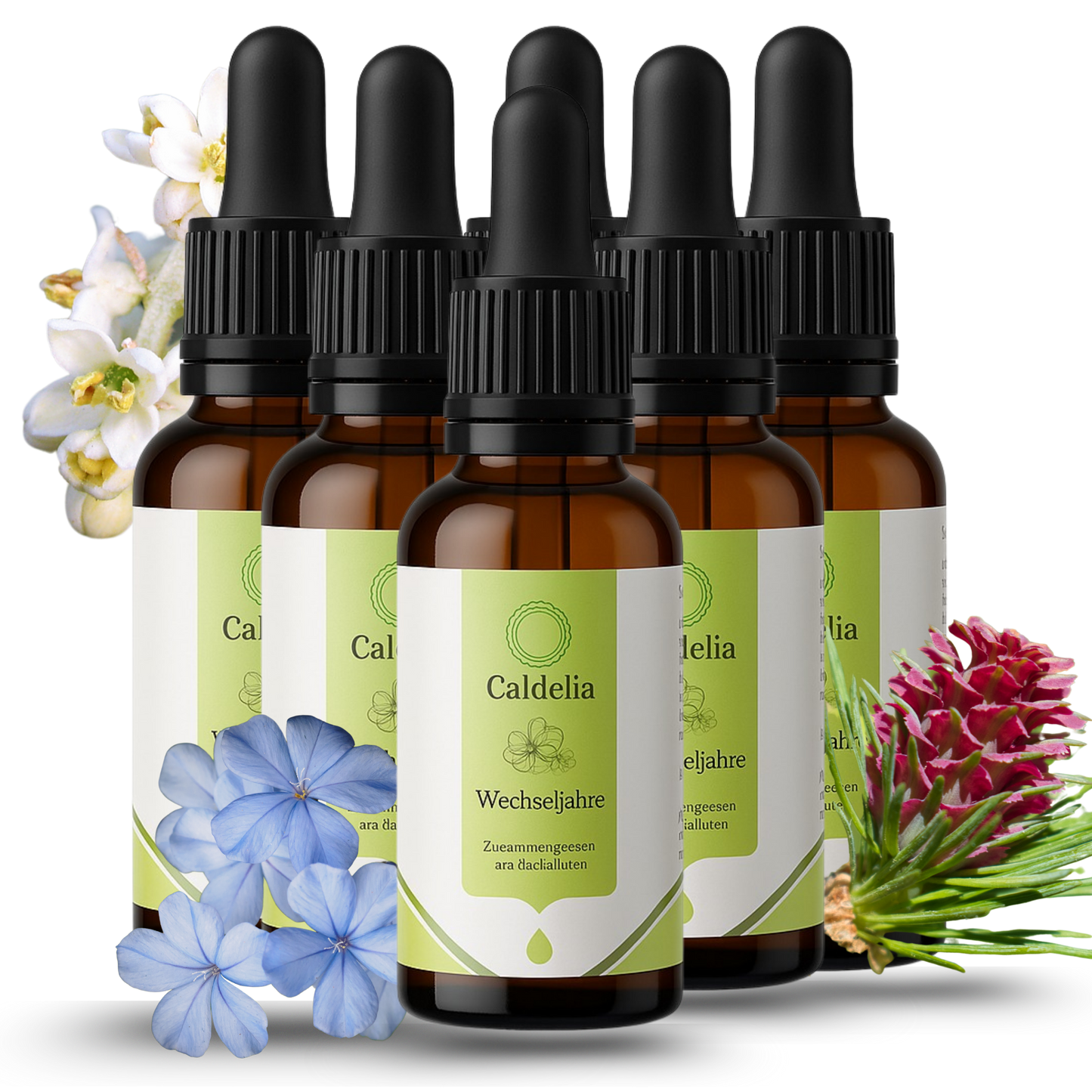 Fläschchen mit Bachblütenmischung zur Linderung von Wechseljahresbeschwerden bei Frauen über 40