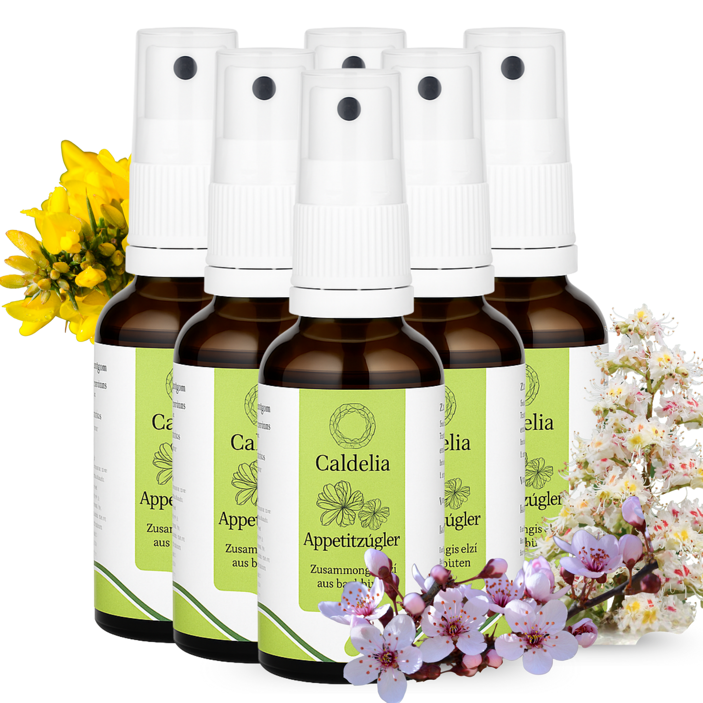 6 Sprays Caldelia Appetitzügler mit Bachblüten, natürlicher Begleiter zur Unterstützung der Gewichtskontrolle