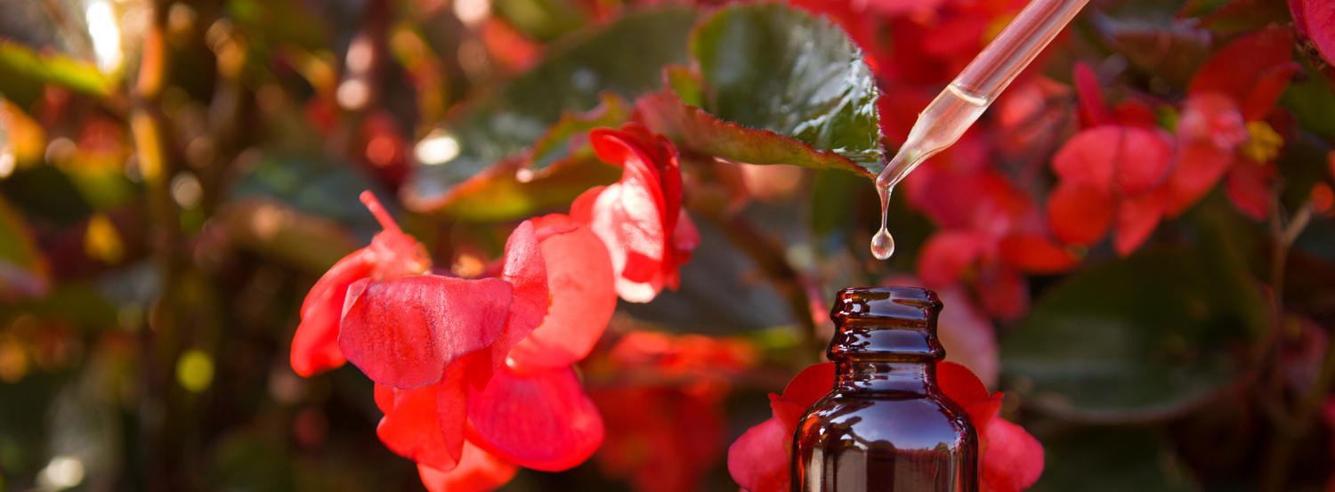 Wie lange hält die Wirkung von Bachblüten Tropfen an?