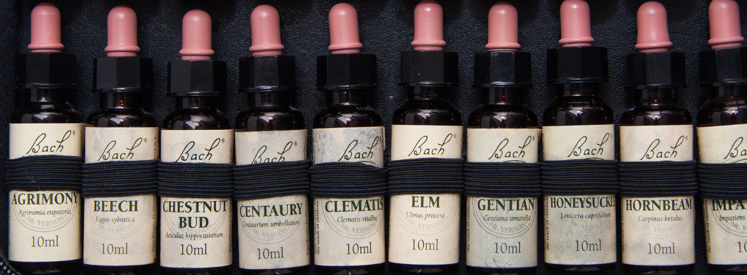 Was sind Bachblüten?