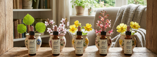 Bachblüten bei Angst: Welche Blüte passt zu welcher Angst?