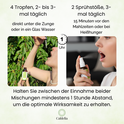 Bachblüten-Schlankheits-Duo | Leichtigkeit zurückgewinnen