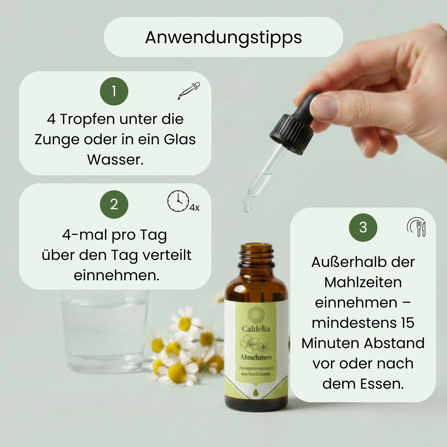 Abnehmen | Bachblüten-Mischung