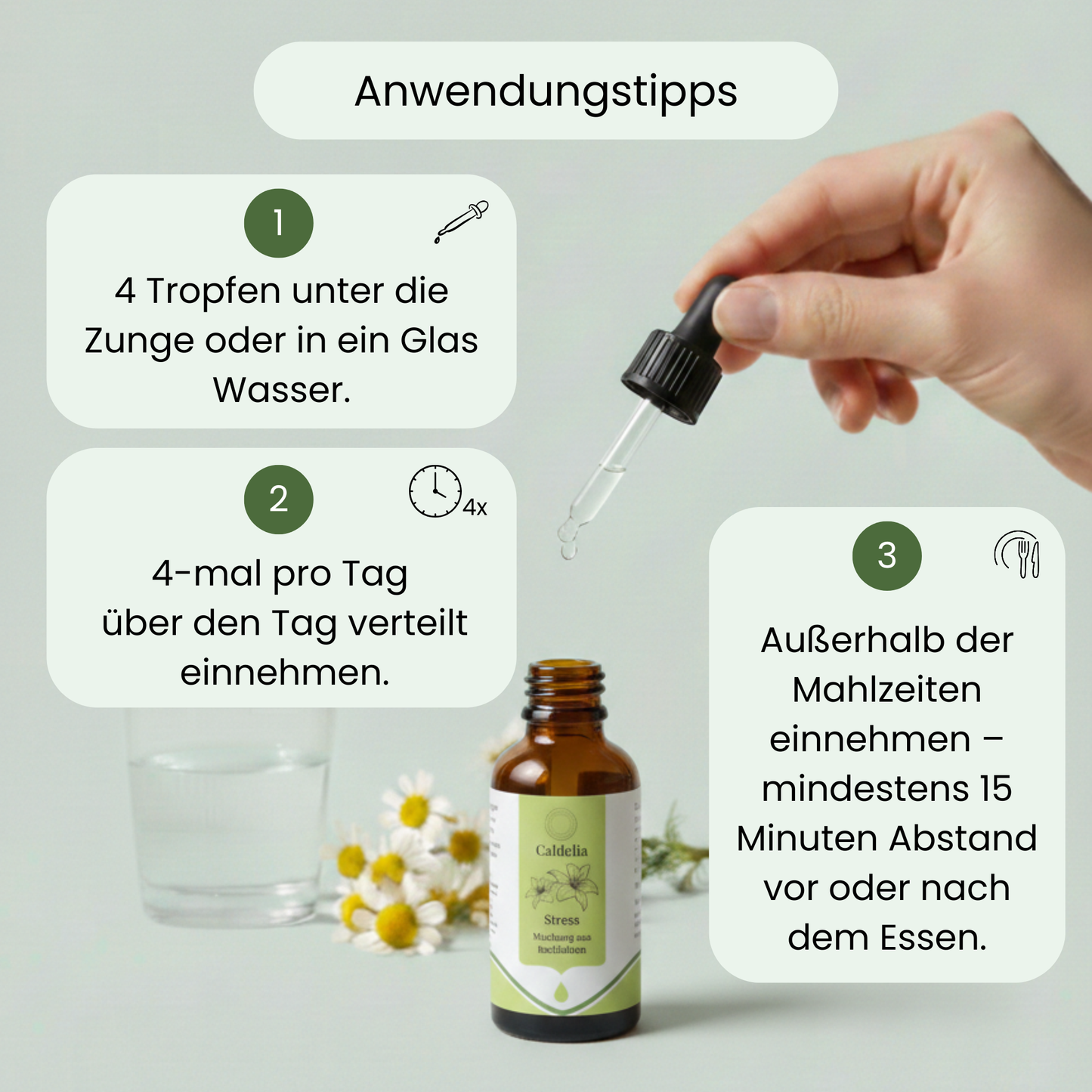 Anti-Stress | Bachblüten-Mischung