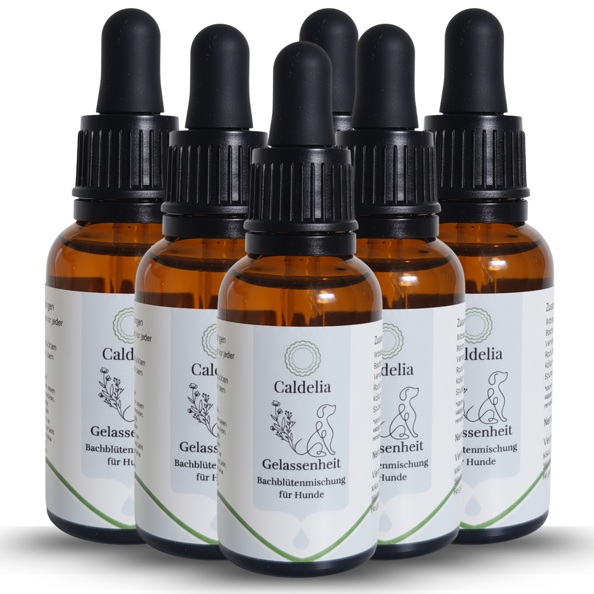 Caldelia Gelassenheit Bachblutenmischung fur Hunde in Braunglas-Pipettenflaschen, naturliche Beruhigungstropfen gegen Angst, Stress und Nervositat bei Hunden aller Rassen