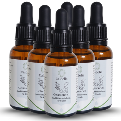 Caldelia Gelassenheit Bachblutenmischung fur Hunde in Braunglas-Pipettenflaschen, naturliche Beruhigungstropfen gegen Angst, Stress und Nervositat bei Hunden aller Rassen