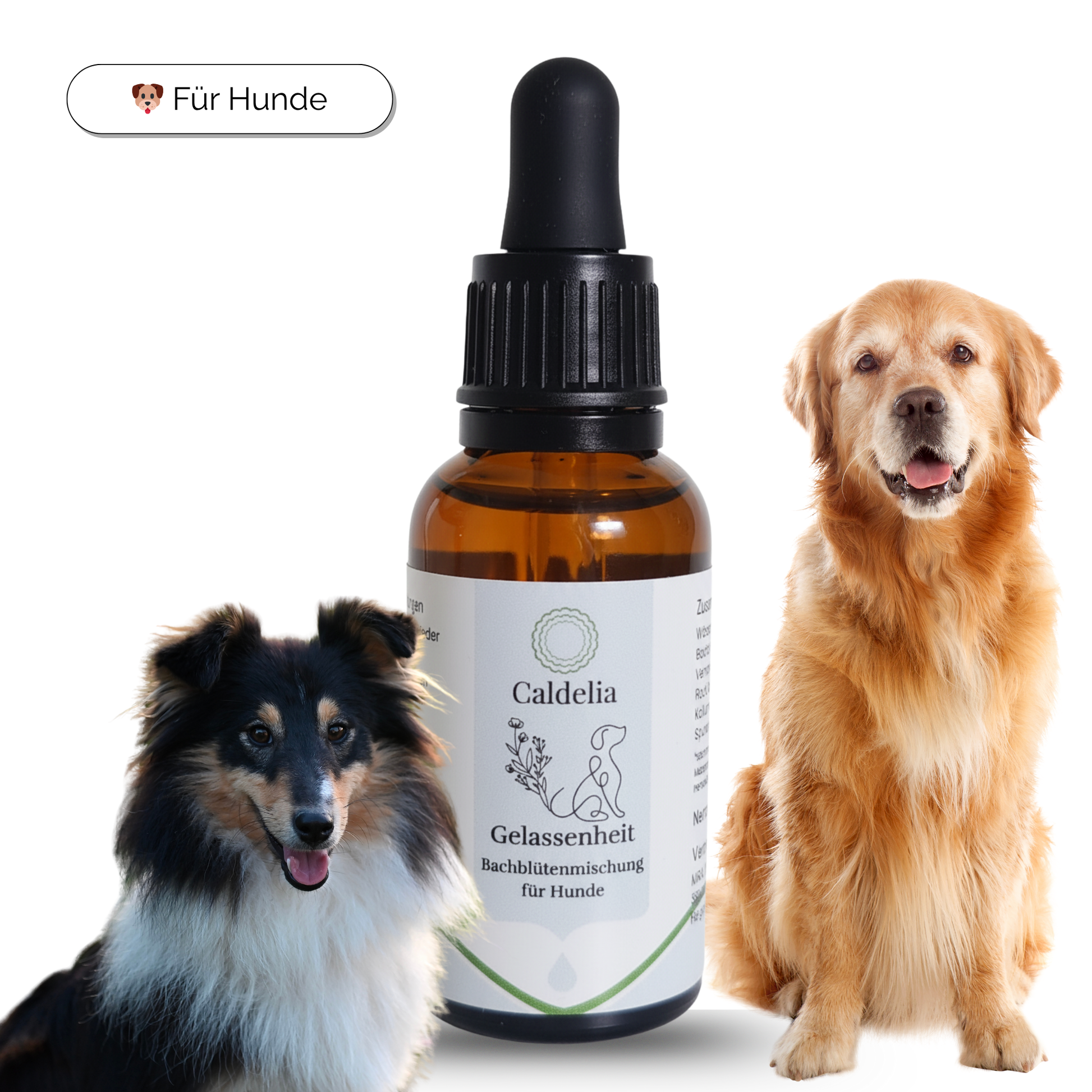 Caldelia Bachblutentropfen fur entspannte Hunde in 50ml Braunglasflasche mit Pipette