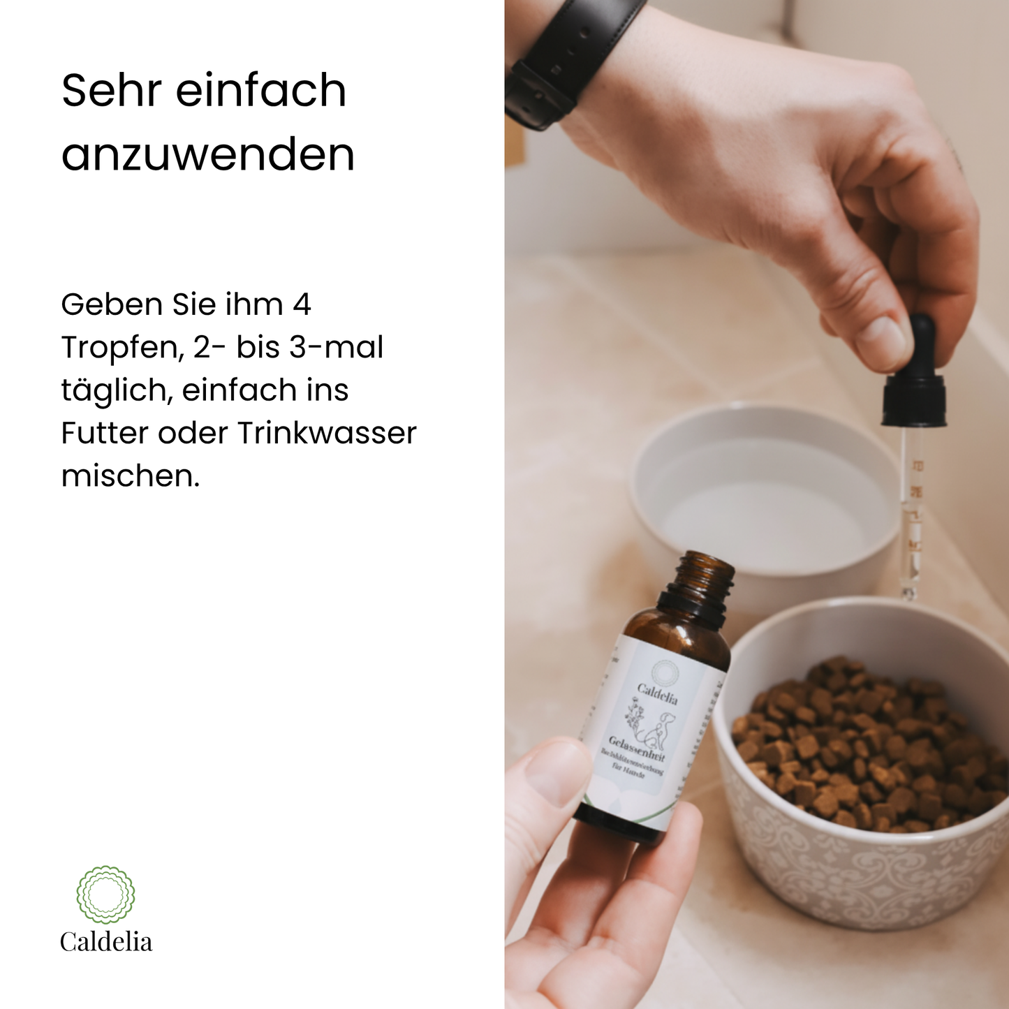 Frau dosiert Caldelia Bachbluten Gelassenheit Tropfen fur Hund 4 Tropfen taglich in Hundefutter Napf mit Trockenfutter einfache Anwendung