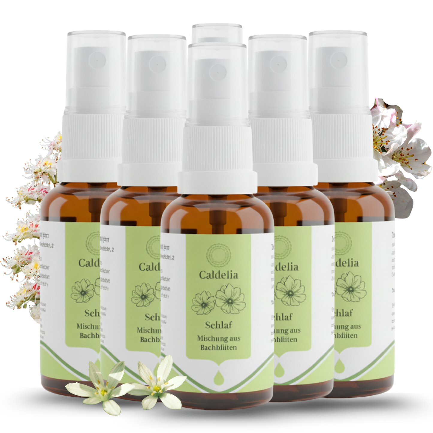 Caldelia Schlaf Mundspray Grosspackung 6 Flaschen Sparpack mit Bachbluten gegen Schlafprobleme
