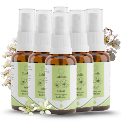 Caldelia Schlaf Mundspray Grosspackung 6 Flaschen Sparpack mit Bachbluten gegen Schlafprobleme
