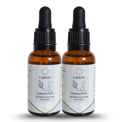 Caldelia Bachbluten Gelassenheit Tropfen fur Hunde 2 Flaschen Pipette Beruhigungsmittel pflanzlich gegen Angst Stress Trennungsangst