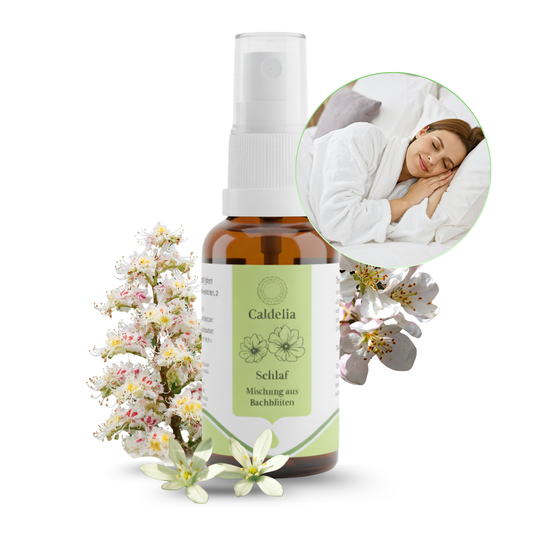Caldelia Schlafspray mit Bachbluten in brauner Spruehflasche fuer besseren Schlaf