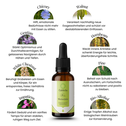 Caldelia Wechseljahre Tropfen mit sieben Bachbluten: Chicory, Walnut, Gentian, Hornbeam, White Chestnut, Pine und Impatiens gegen Hitzewallungen und emotionale Beschwerden in der Menopause