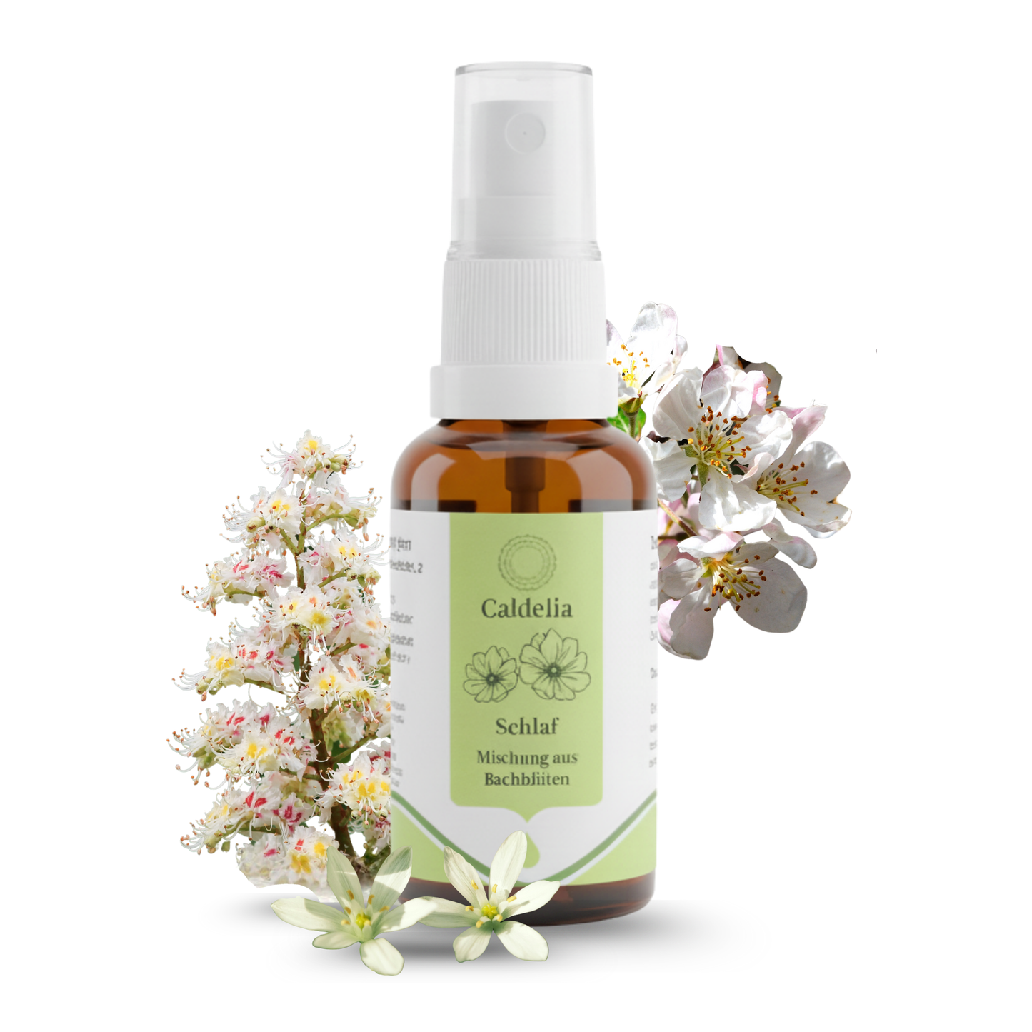 Schlaf | Bachblüten-Mischung