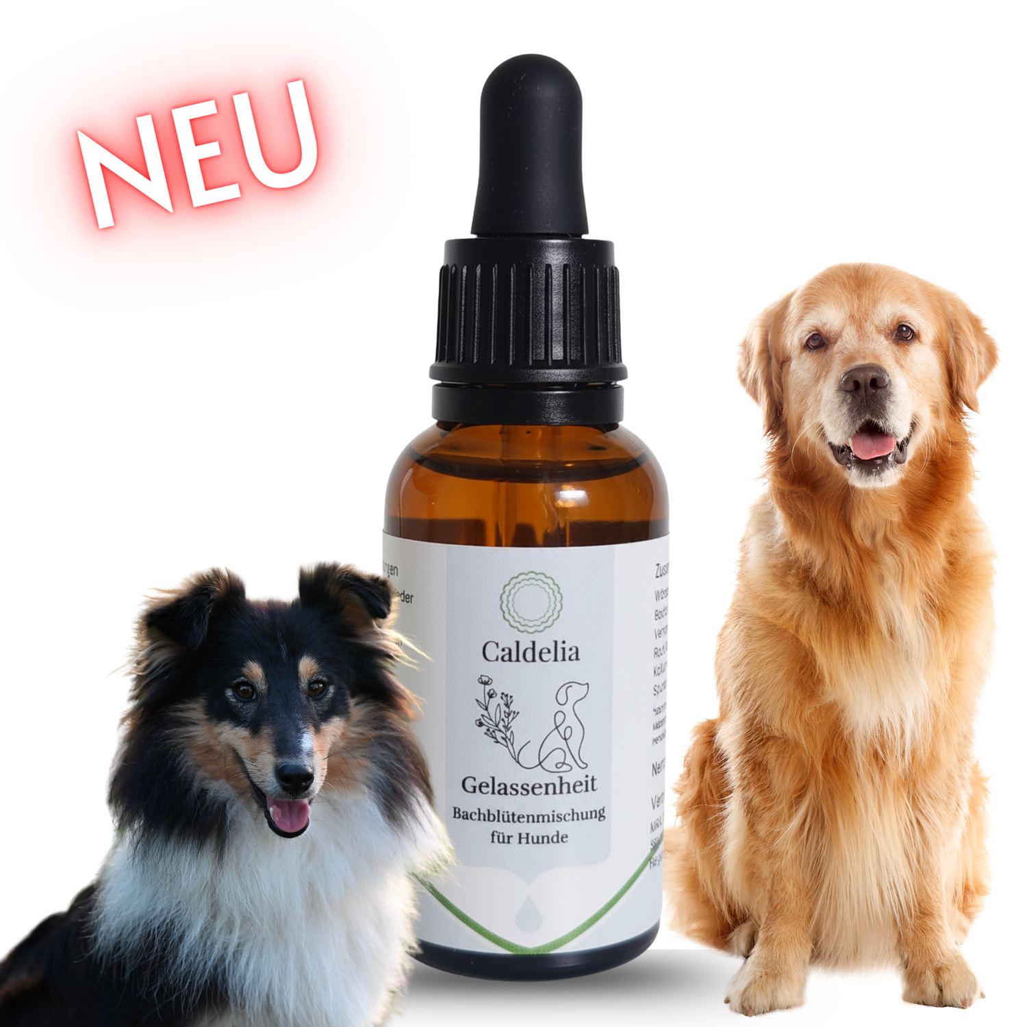 Caldelia Gelassenheit Bachblutenmischung fur Hunde Neuheit mit Golden Retriever und Australian Shepherd, naturliche Beruhigungstropfen in Pipettenflasche zur Stressreduktion bei allen Hunderassen
