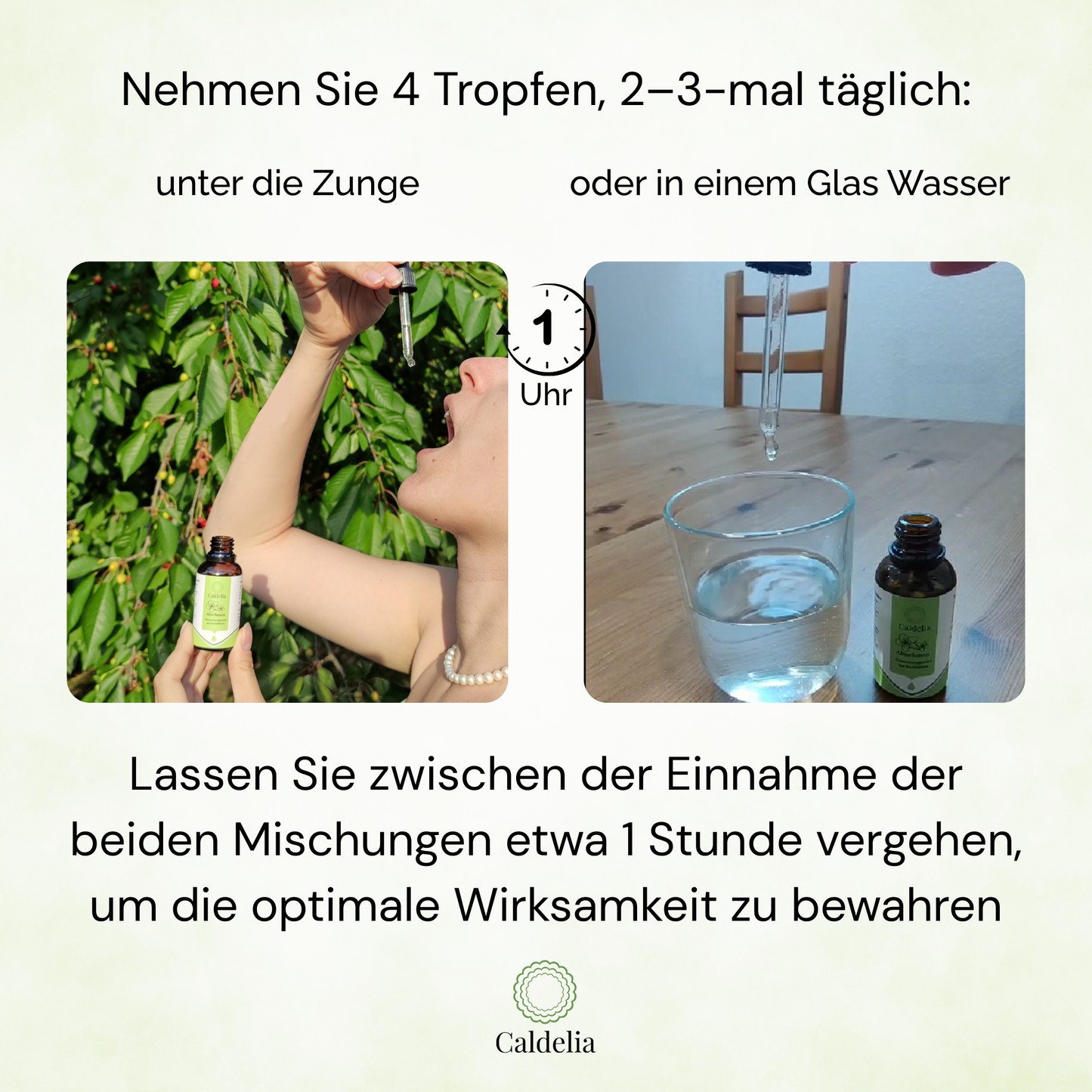 Wechseljahre Abnehm-Duo