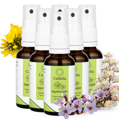 6 Sprays Caldelia Appetitzügler mit Bachblüten, natürlicher Begleiter zur Unterstützung der Gewichtskontrolle