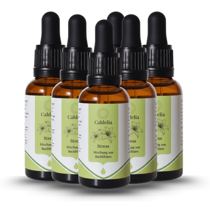 Mehrere Flaschen Caldelia Bachblüten Stress Mischung mit Pipette, natürliche Tropfen zur emotionalen Balance und inneren Ruhe